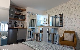 Tres Beau Studio Climatisation, Trois Etoiles, Parking A Velo, Velos En Option, Parking Prive Jardin